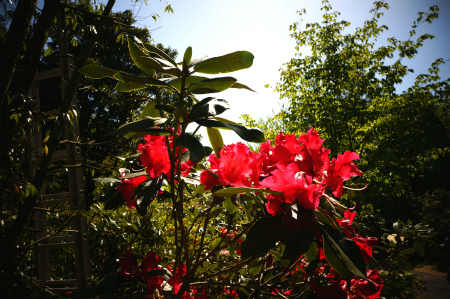 a0027641_542457.jpg