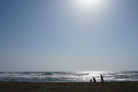 a0027641_5432224.jpg