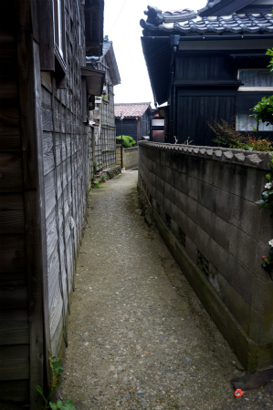 a0027641_7103048.jpg