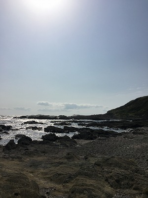 f0065542_1128274.jpg