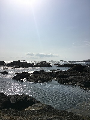 f0065542_1139130.jpg