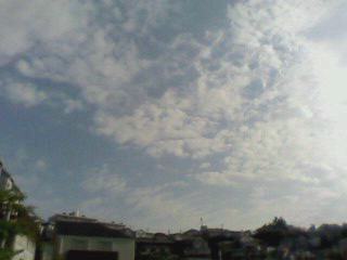 e0150843_2385322.jpg