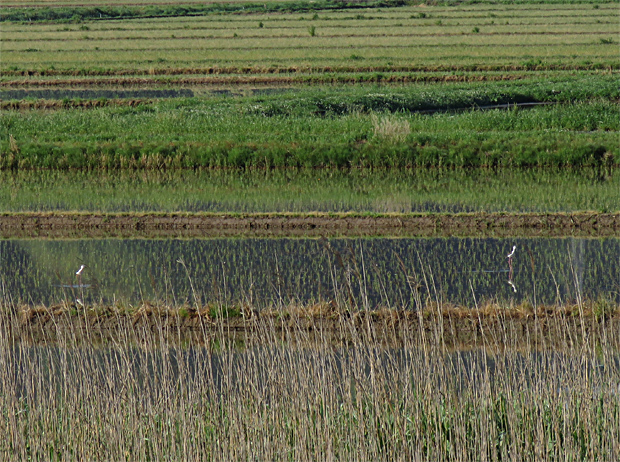 f0214649_3335739.jpg