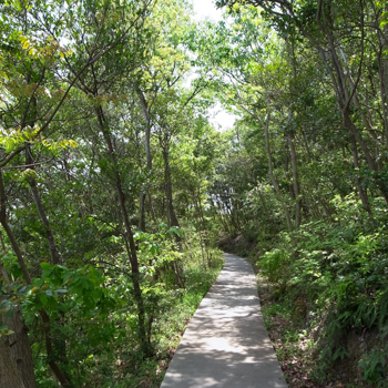 b0025850_14345765.jpg