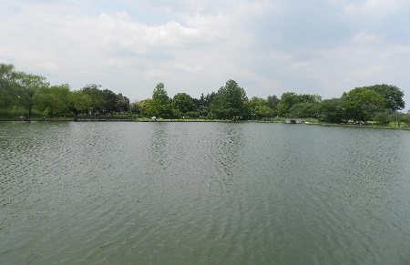 e0172950_19284122.jpg