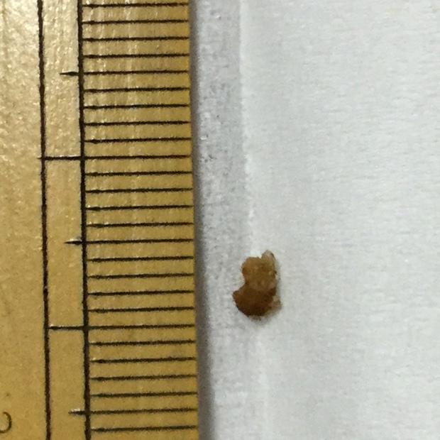 c0073152_19354916.jpg