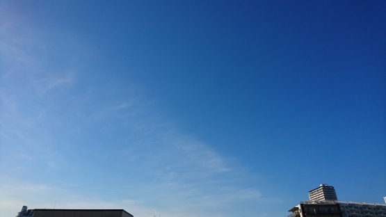d0347253_08274792.jpg