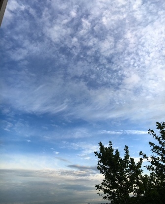 b0173754_00254998.jpg