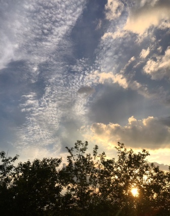b0173754_00280028.jpg