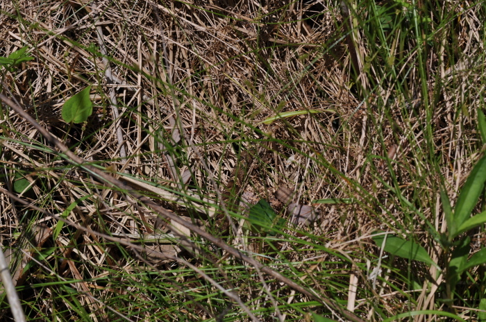 a0122264_07272578.jpg