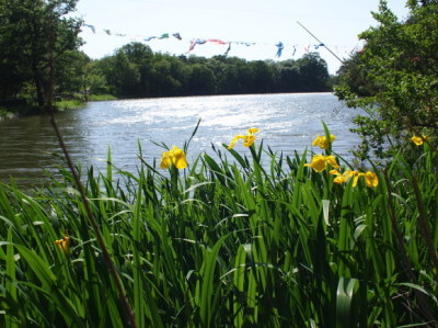 e0012580_15520129.jpg