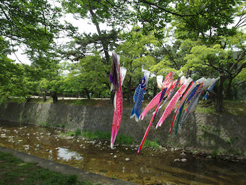 f0008686_15423392.jpg