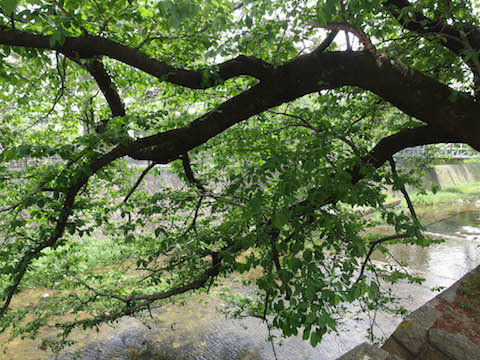 f0008686_15424227.jpg