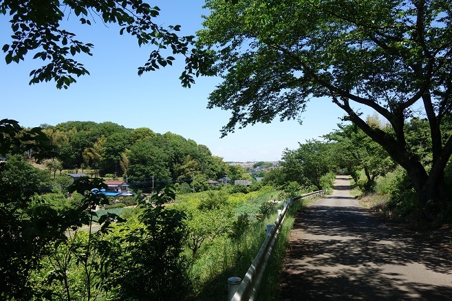 d0183387_11231343.jpg
