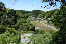 d0183387_11283779.jpg