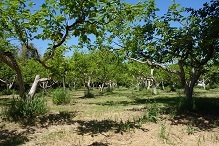 d0183387_11284508.jpg