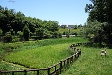 d0183387_19451555.jpg