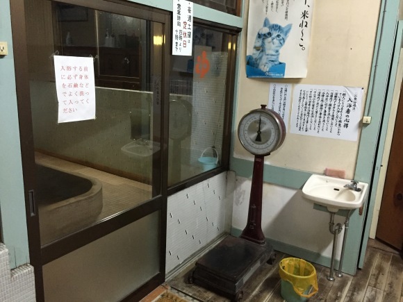 b0188998_18251516.jpeg