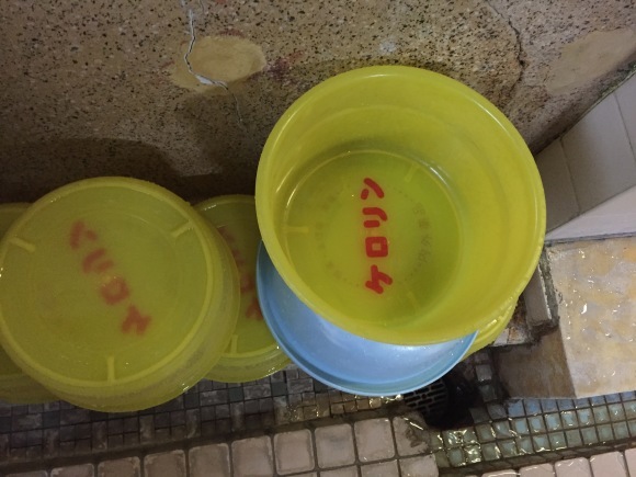 b0188998_18255471.jpeg