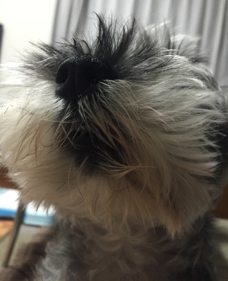 b0188998_18273806.jpeg