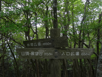 c0125501_2042464.jpg