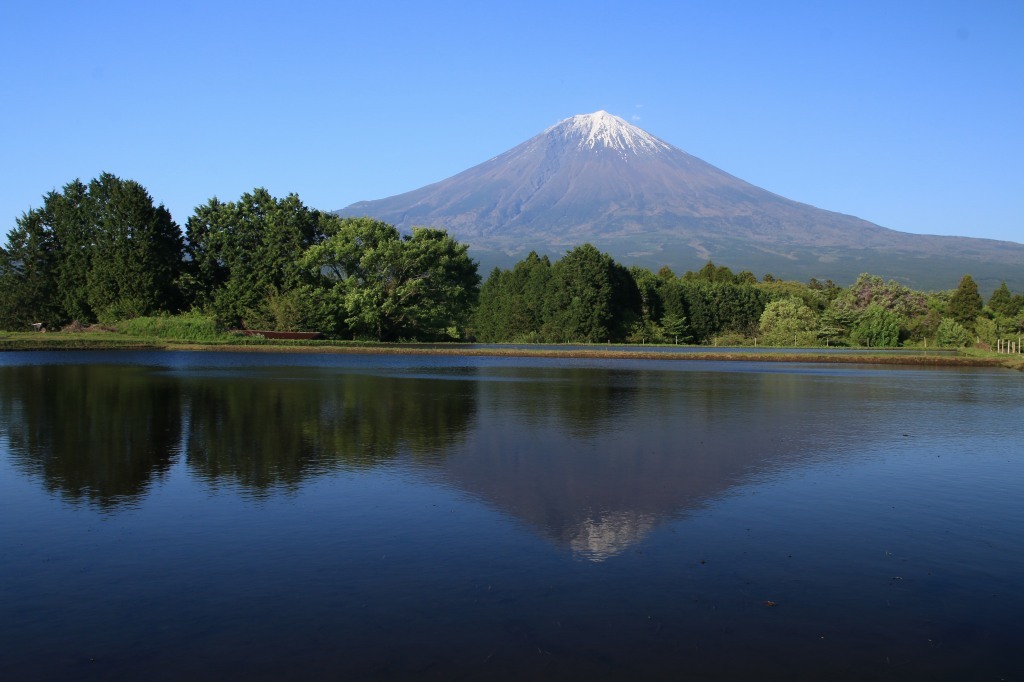 a0188405_21272328.jpg