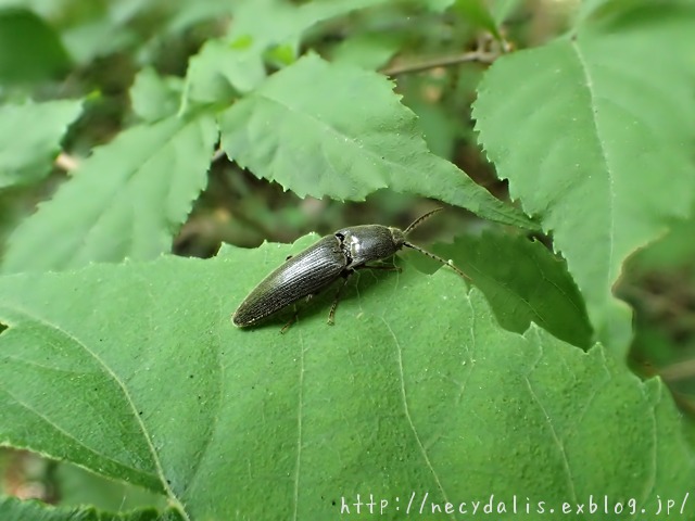 f0238605_13241038.jpg