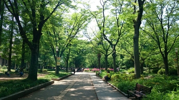 b0009106_21263005.jpg