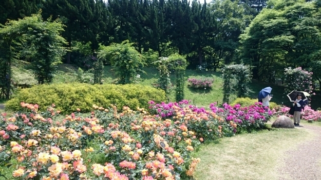 b0009106_21263459.jpg
