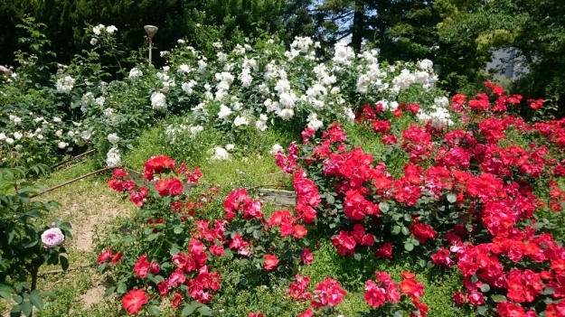 b0009106_21263637.jpg
