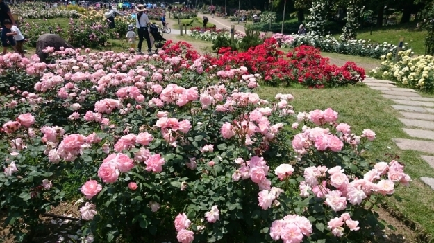b0009106_21282376.jpg