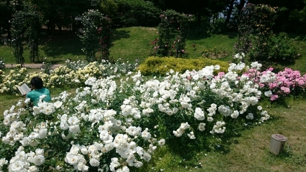 b0009106_21282525.jpg