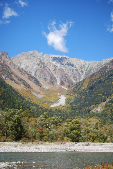 b0333711_14524571.png