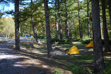 b0333711_15013397.png
