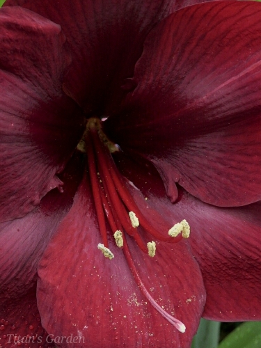 b0099813_0315210.jpg