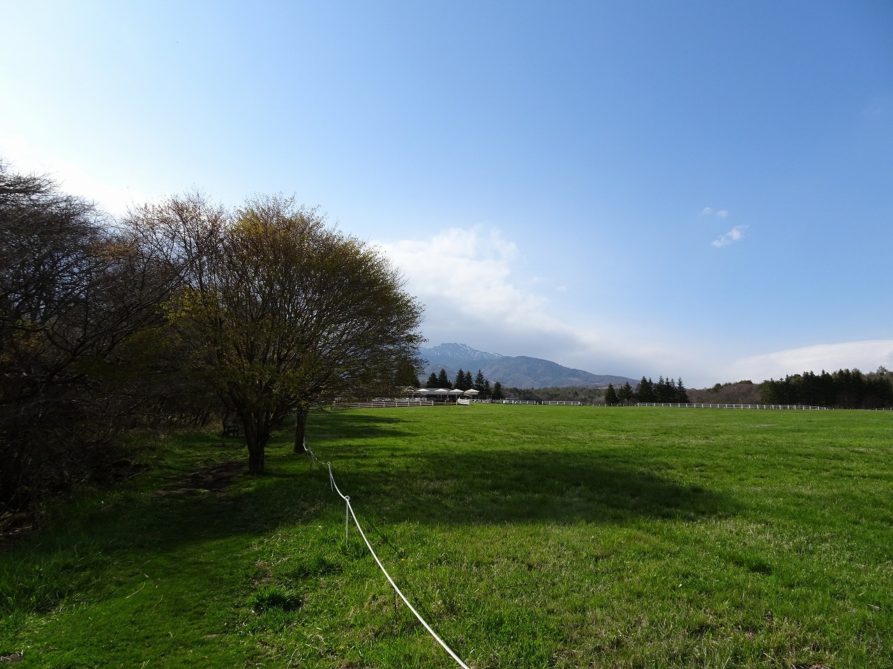 c0337813_15484836.jpg