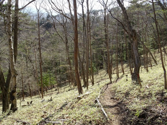 c0337813_15562588.jpg