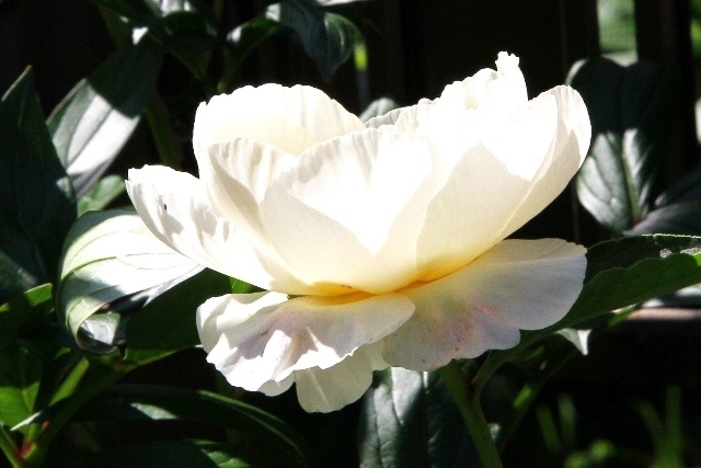 c0162817_14173353.jpg