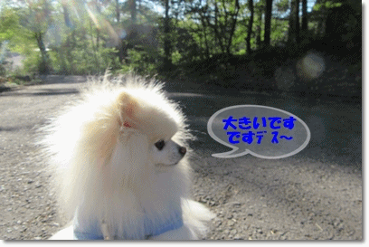 b0167519_10453998.gif