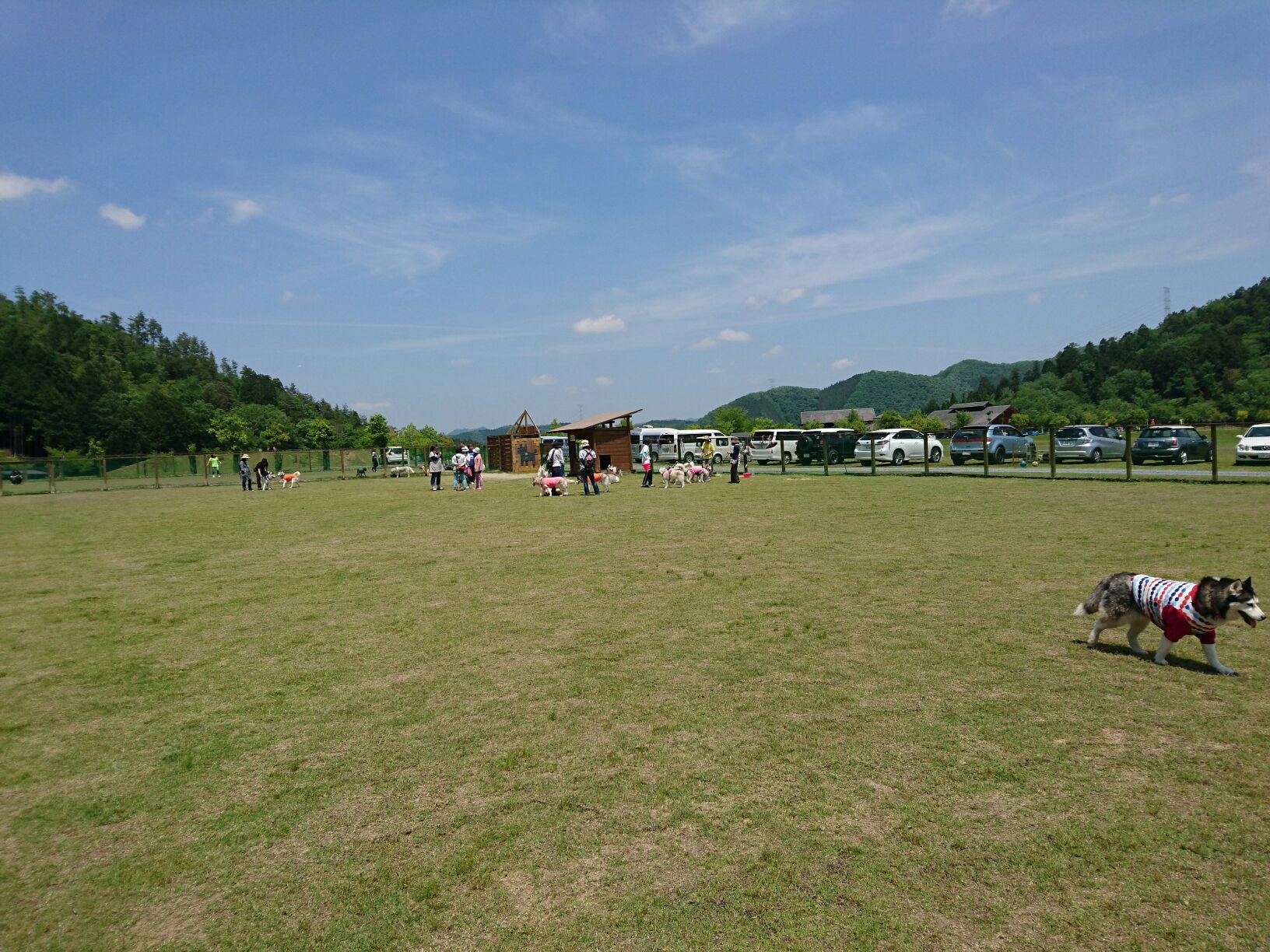 e0179321_2118795.jpg
