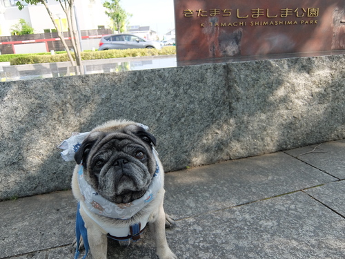 f0128821_2141879.jpg