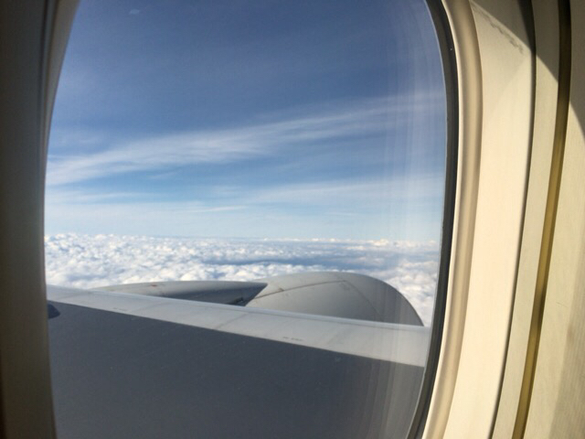 f0128821_23571069.jpg