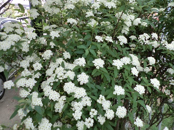 f0198926_2203619.jpg