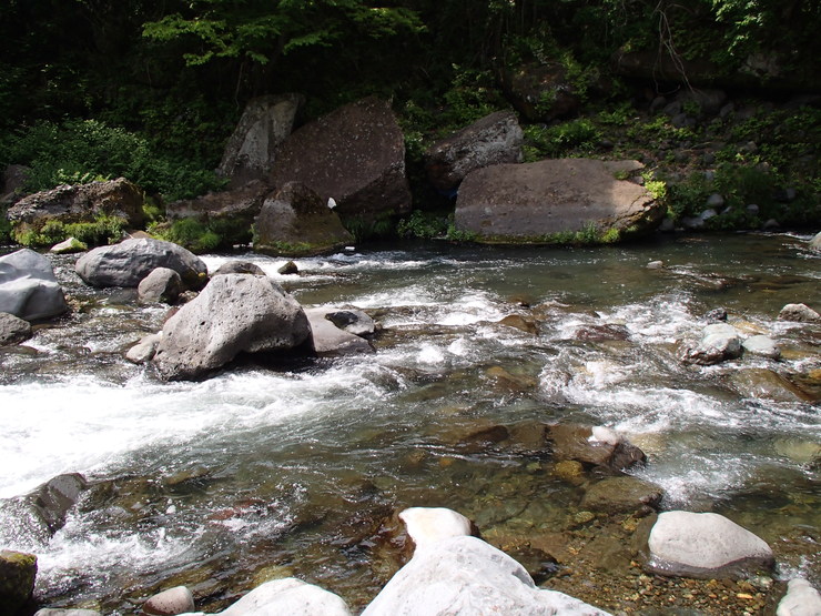 d0172227_1432196.jpg