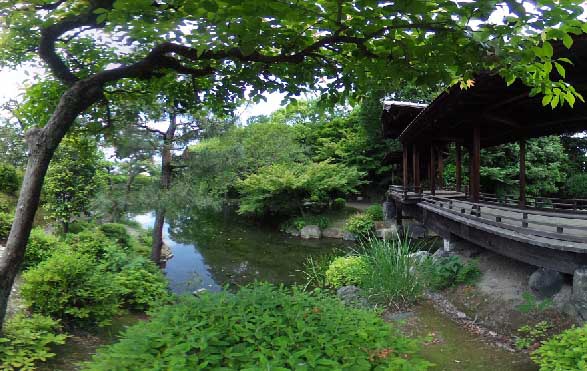 c0184737_20113324.jpg