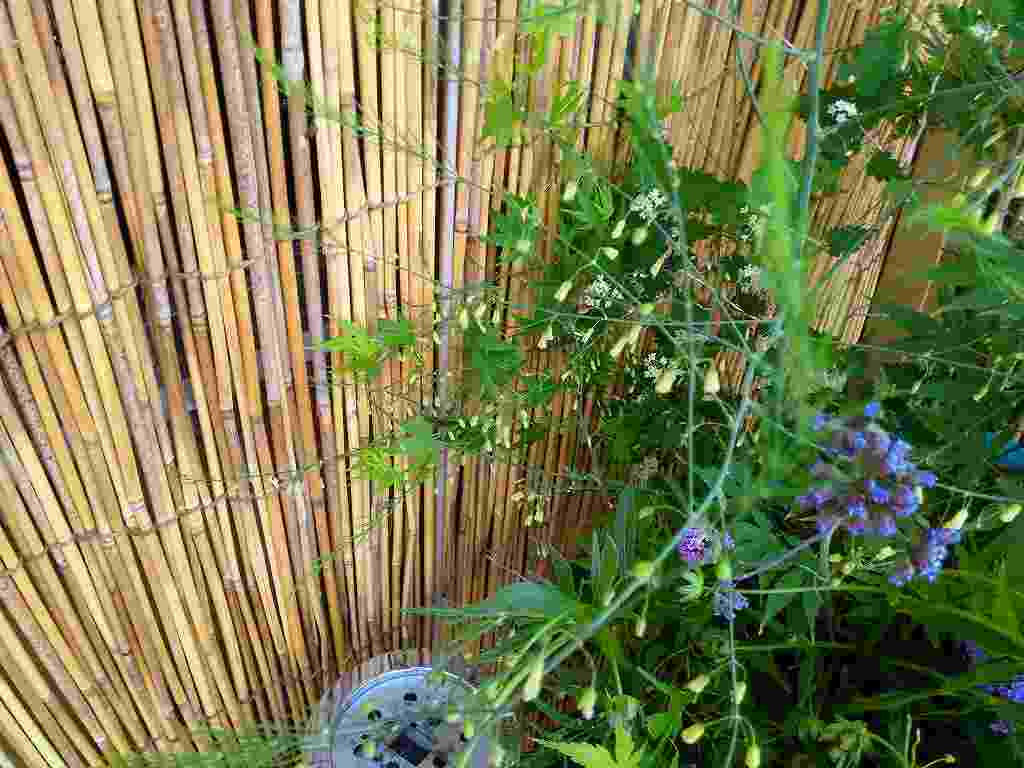 f0208737_08454137.jpg