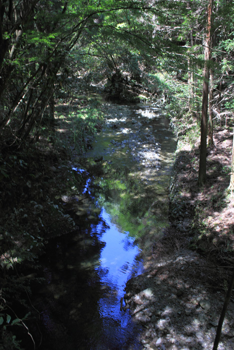 e0083238_222334100.jpg