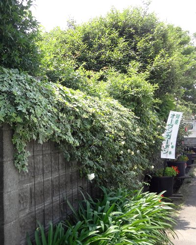 b0149340_20471812.jpg