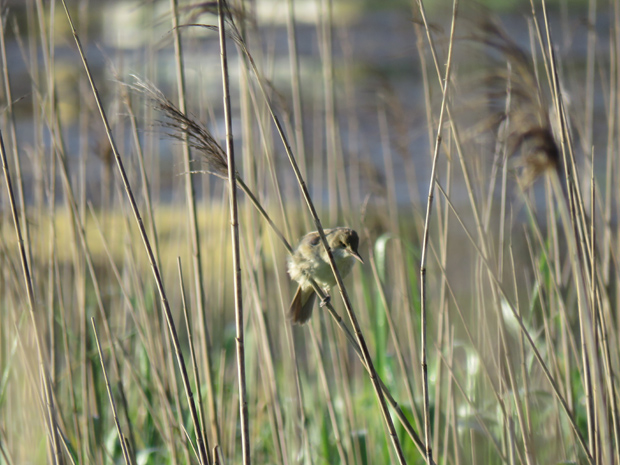f0214649_653323.jpg