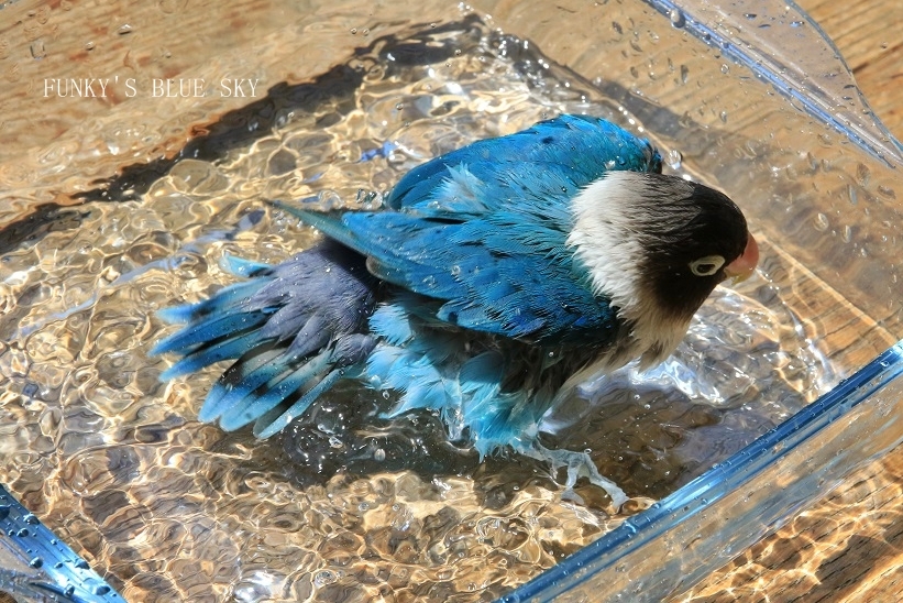 c0145250_10273210.jpg